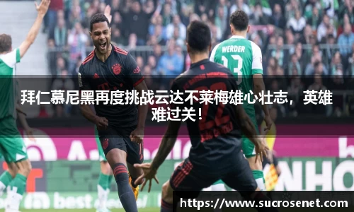 芒果体育网址